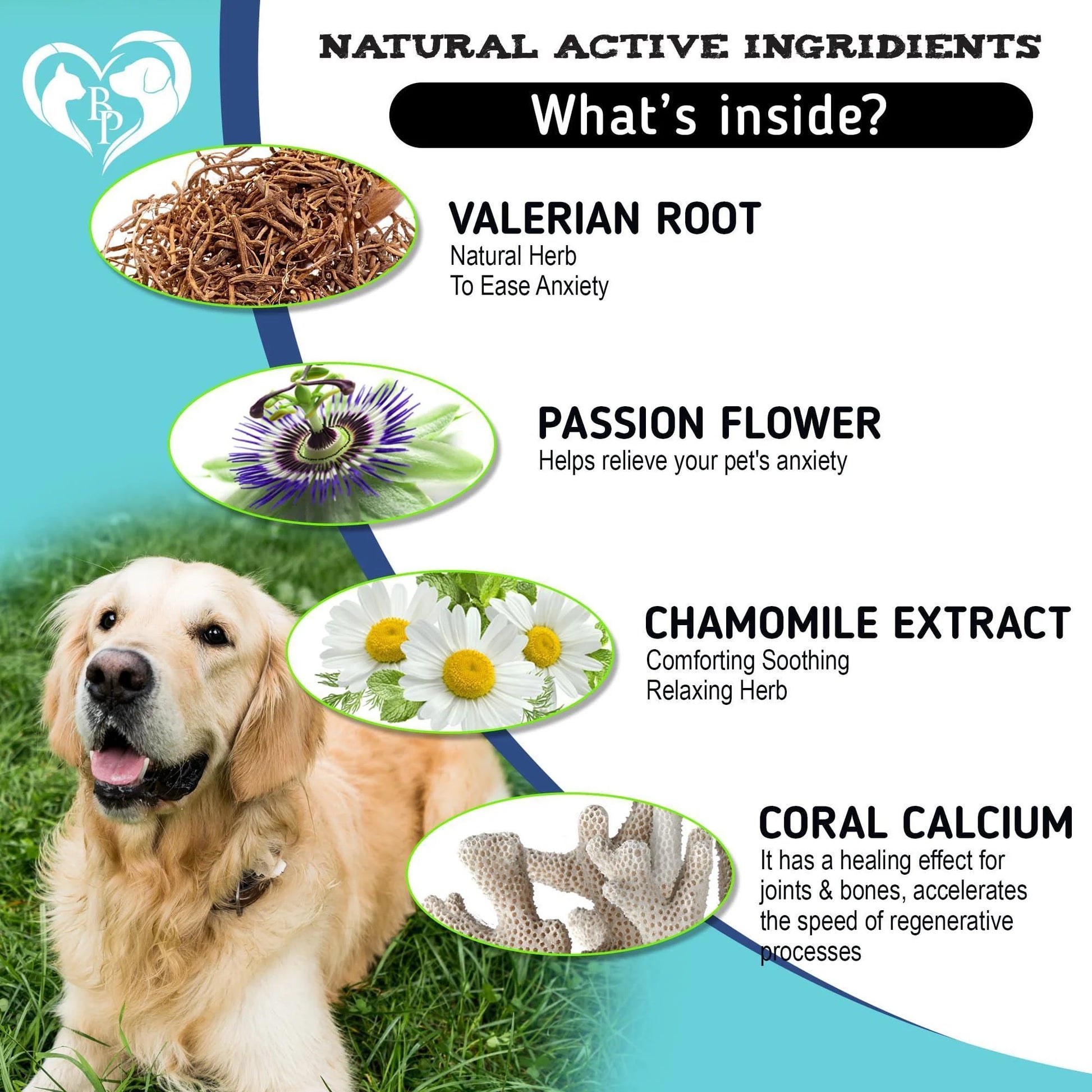 Hemp-Based Calming Chews for Dogs - Natural Treats for Puppy Separation Anxiety Relief