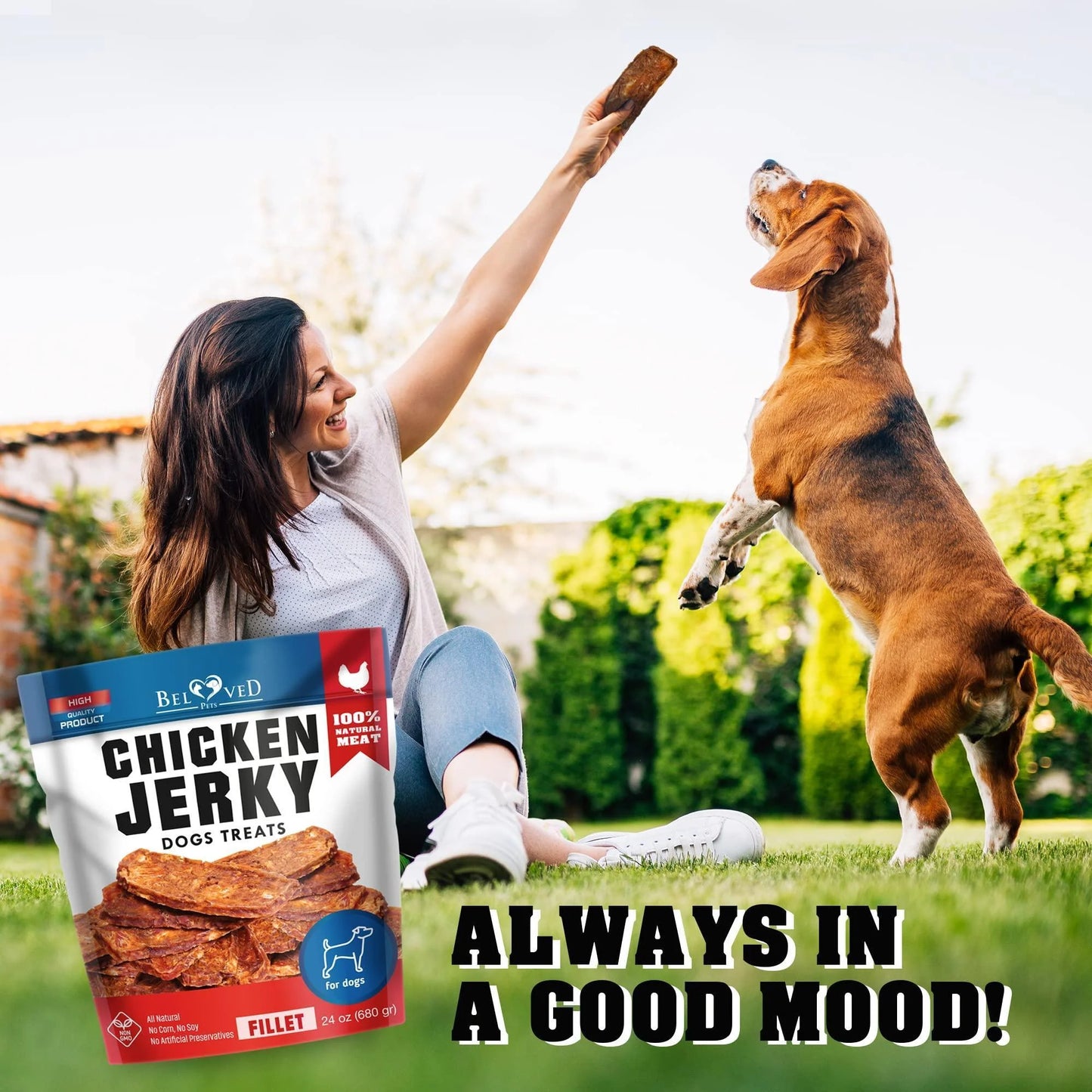 Human-Grade Grain-Free Chicken Jerky Dog Treats - 1.5 lb Dried Strips